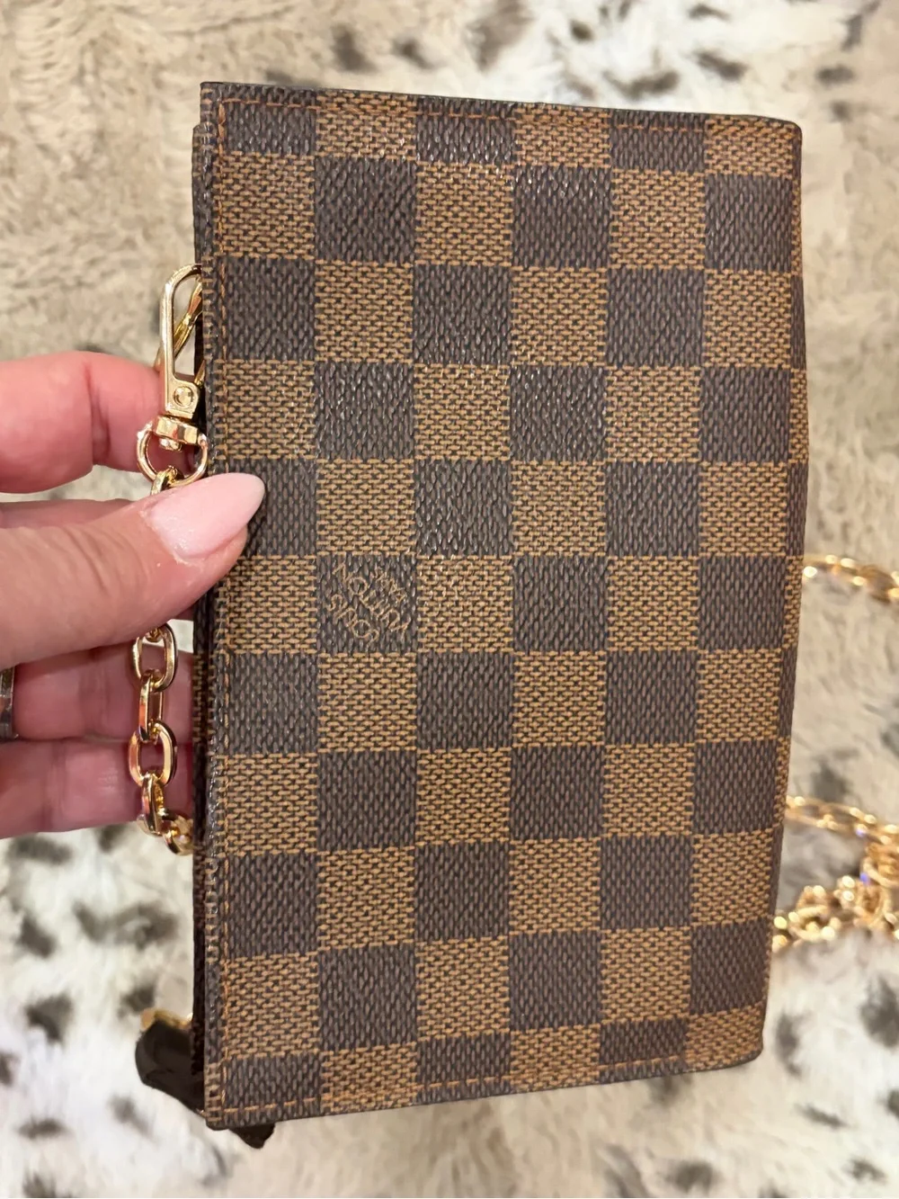 Louis Vuitton Damier Ebene Pouch